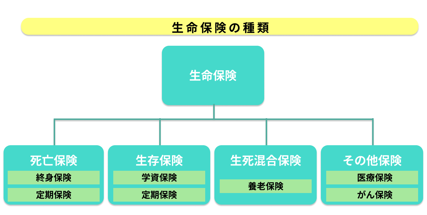 生命保険は何種類あるの？種類別の特徴をわかりやすく解説！ | エコスマほけん